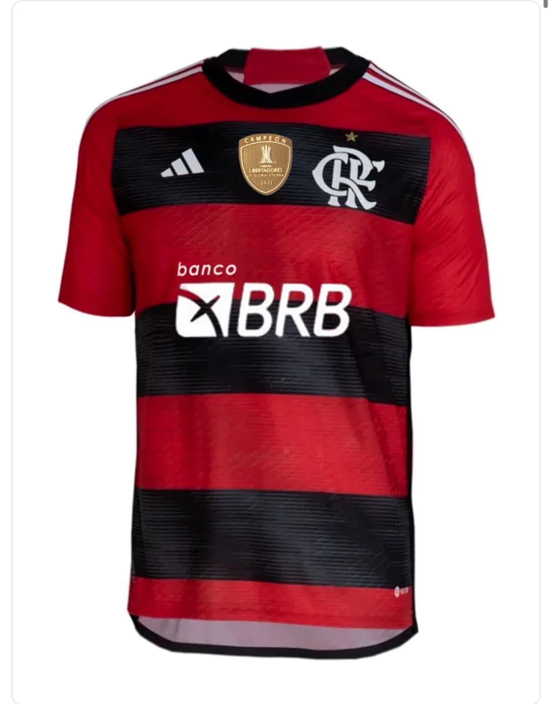 Clube de Regatas do Flamengo 2023/2024 Home front view football shirt