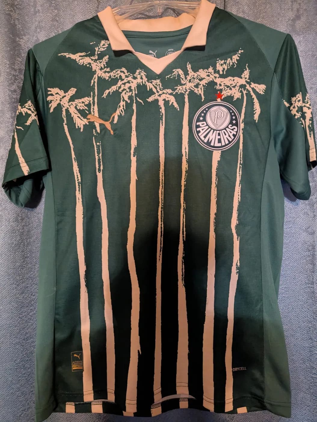 Sociedade Esportiva Palmeiras 2025/2026 Home front view football shirt