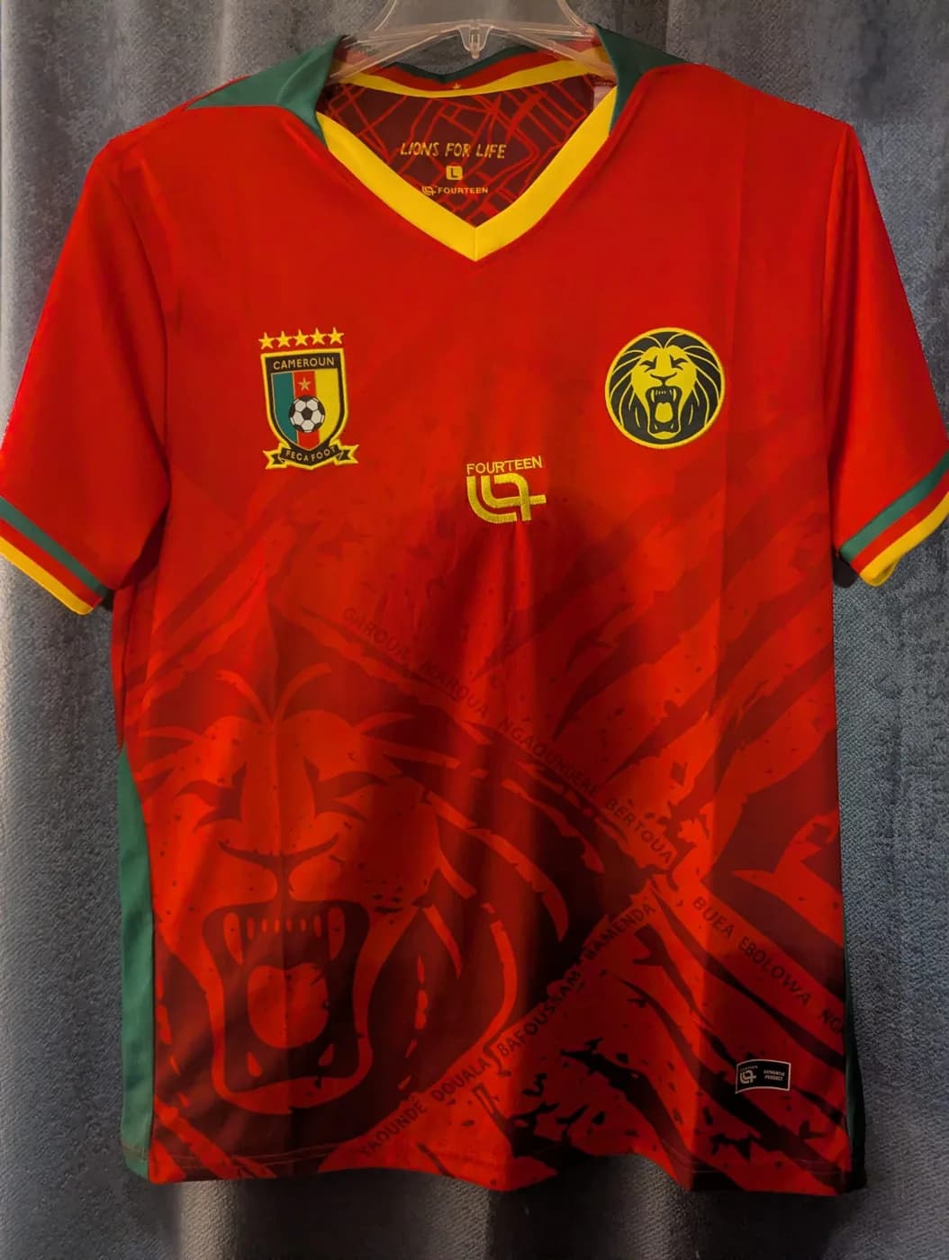 Cameroon 2025 Away front view football shirt