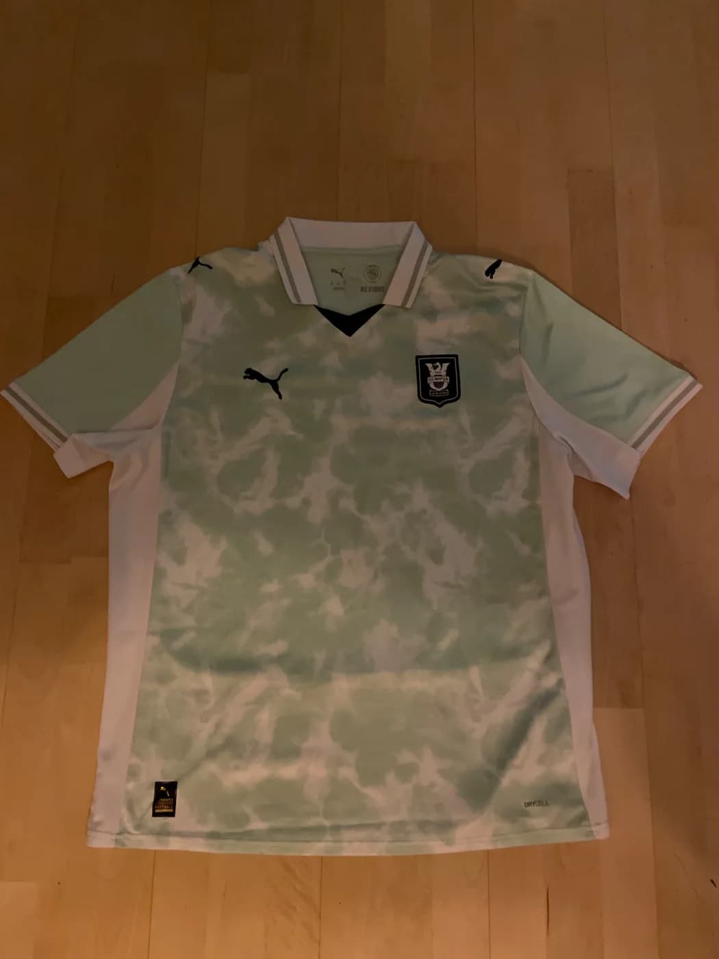 Olimpija Ljubljana 2025/2026 Home front view football shirt